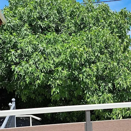 Anastasia's Βίλα *